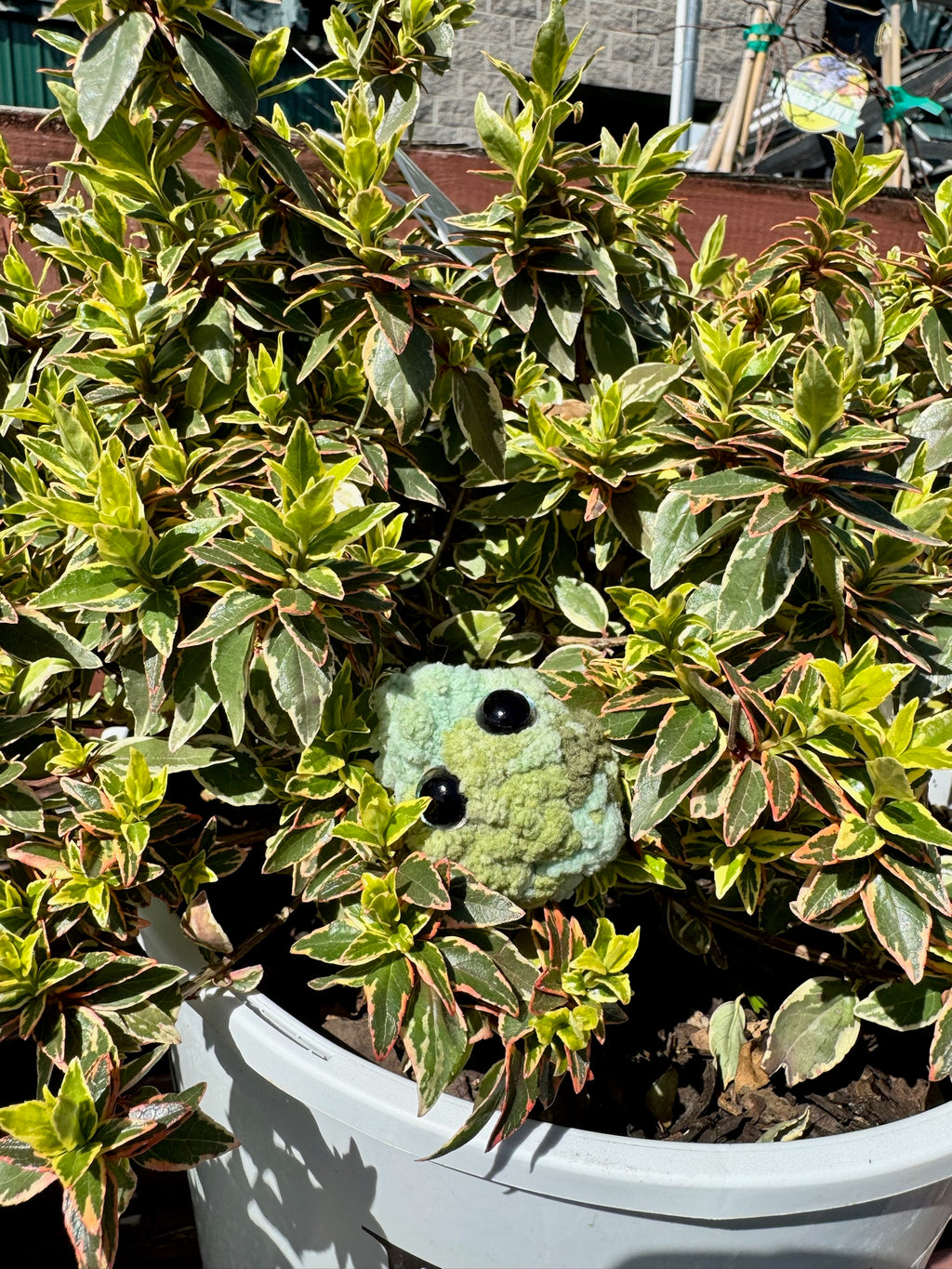 Green Keychains Tri-Color